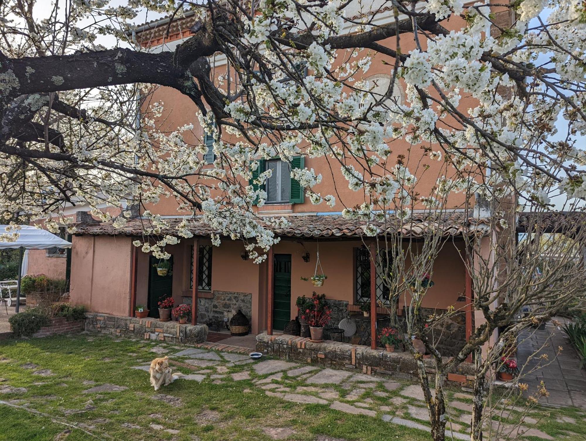 Hotel Dimora Marella Patrica - Frosinone Exterior foto